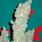 Bubble Gum Seeds