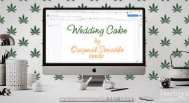 Wedding Cake Grow Report