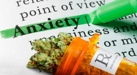 Growing Best CBD Marijuana Strains for Anxiety