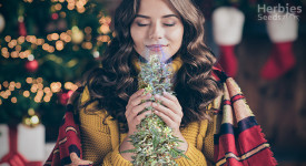  pine-smelling weed