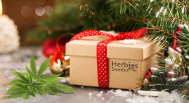 Secret Santa Gift With Every Purchase