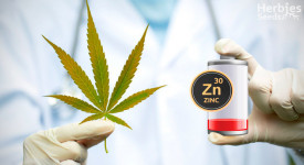 how to fix a zinc deficiency in cannabis