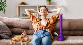 Best strains for relaxation