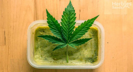 como fazer cannabutter