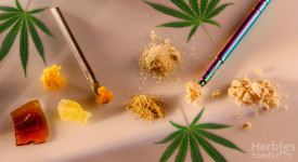 Cannabis concentrates