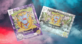 New strain From Sweet Seeds!