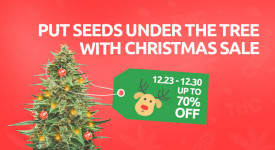 A sale like this is a true Christmas miracle!