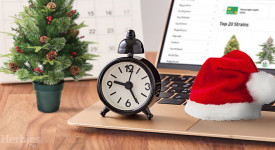working hours at herbies