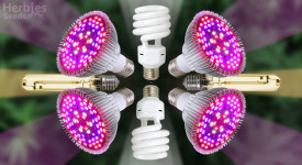 best growing lights