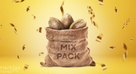 The best-seller from Seed Stockers is now back on our shelves