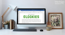 Glookies Grow Report