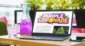 Purple Lemonade Grow Journal