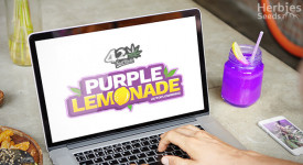 Purple Lemonade Auto Grow Report