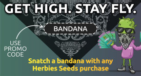 free bandana with any herbies seeds order