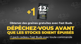 Chaque achat chez Fast Buds donne droit à une graine Fast Buds gratuite