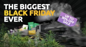 Up to 90% Off and Other Surprises