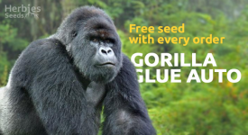 It's Raining Free Seeds