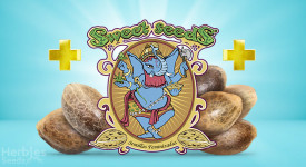 Get Your Free Seeds From Sweet Seeds