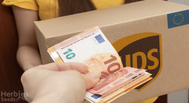 cash on delivery