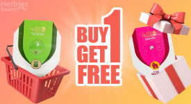 Buy 1 Get 1 Free