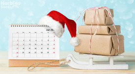 shipping time in December and January.