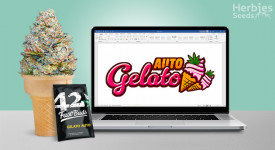 Relatório de crescimento automático do Gelato