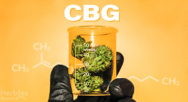 cbg and cbg strains