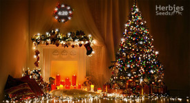 Shop And Celebrate: Update On The Holiday Hours