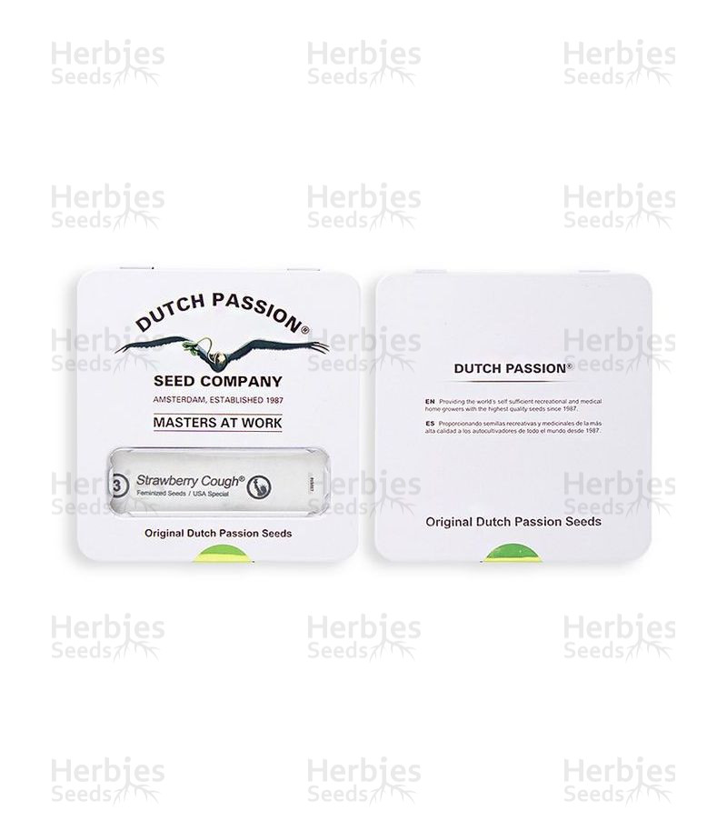 Strawberry Cough Seeds For Sale from Dutch Passion Herbies