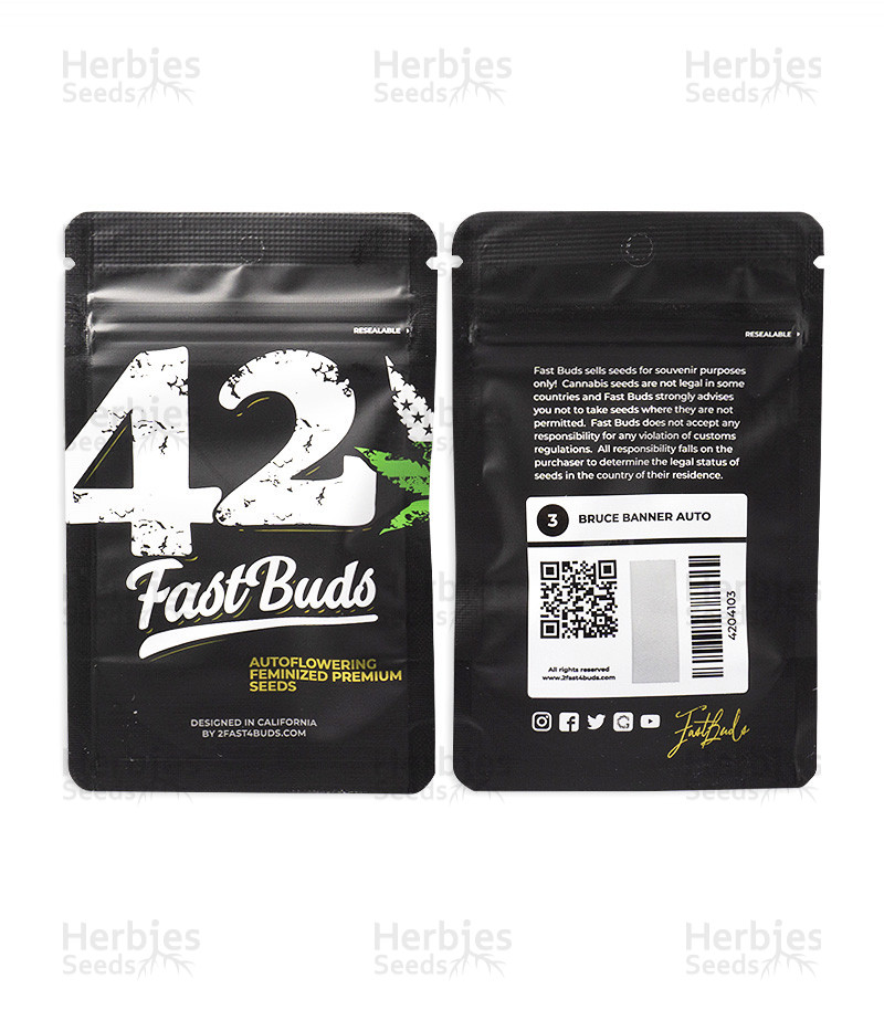 Buy Bruce Banner Auto feminized seeds by FastBuds - Herbies