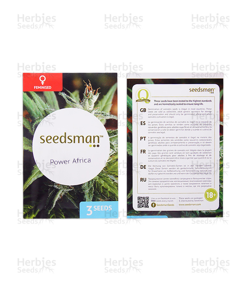 Ridículo compromiso proteger Venta de Power Africa (Seedsman Seeds) | Semillas de marihuana feminizadas  - Herbies