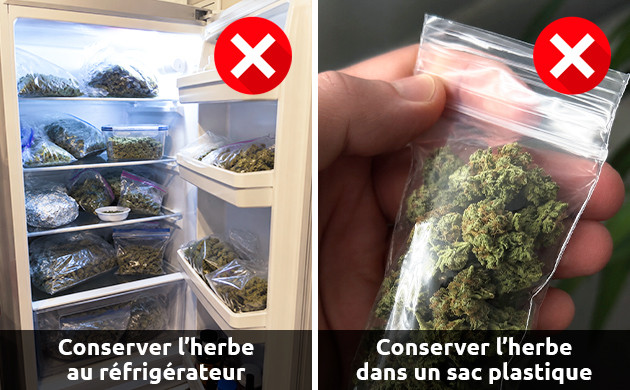 ce qu’il faut absolument éviter pour conserver le cannabis