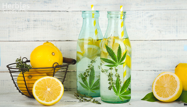 limonade thc