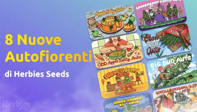 8 nuove versioni autofiorenti da celebri varieta di herbies seeds
