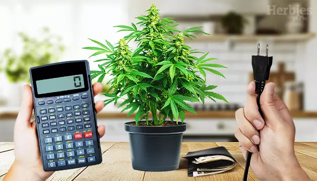 Calculating electricity costs