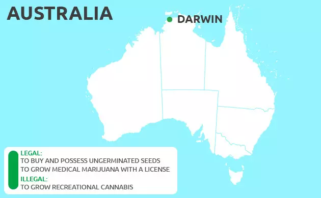 Can You Grow Cannabis in Darwin