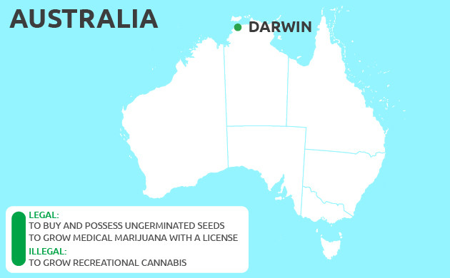 Can You Grow Cannabis in Darwin