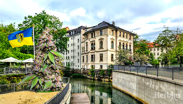 rechtlicher umgang mit cannabis in leipzig