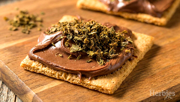 ABV Gras avb