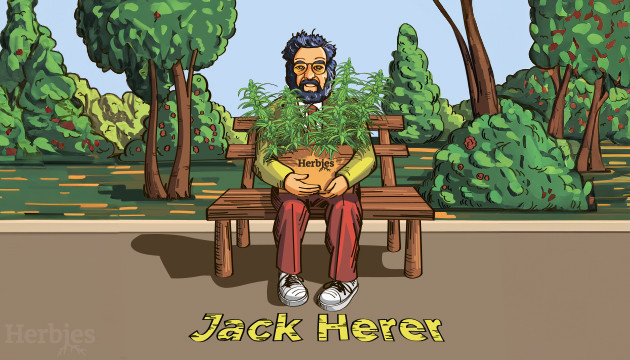 jack herer strain