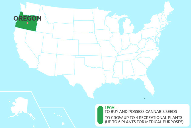 Can You Grow Cannabis in Oregon