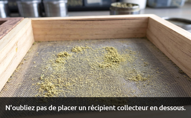 Collection Silk Skreen pour la vie