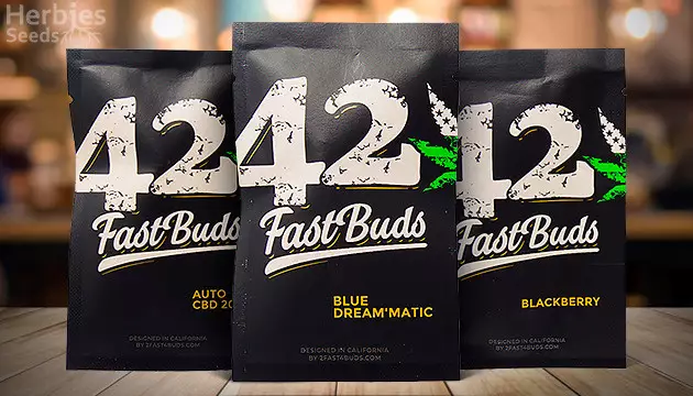 FastBuds feminized seeds