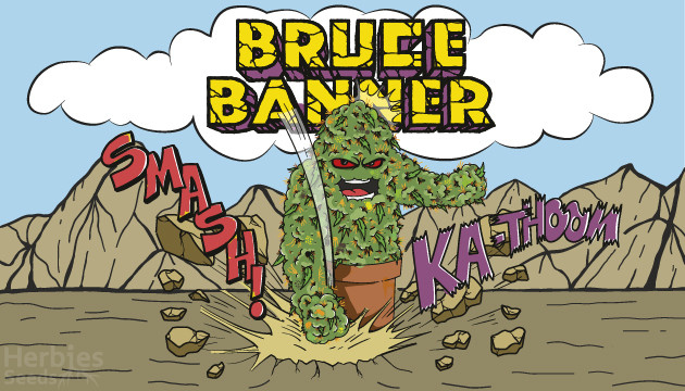 A Guide to the Bruce Banner Strain Family