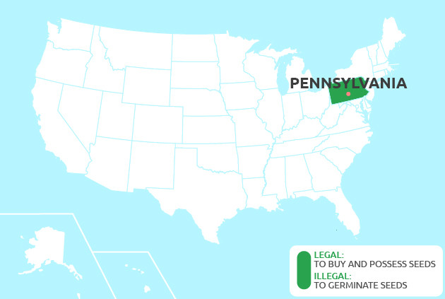 Can You Grow Cannabis in Pennsylvania?