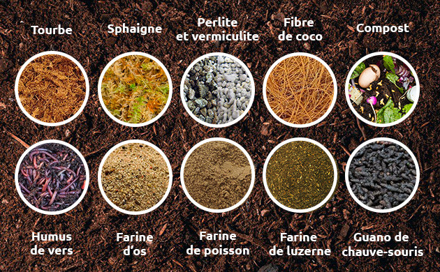 de quoi est composé le sol vivant ?