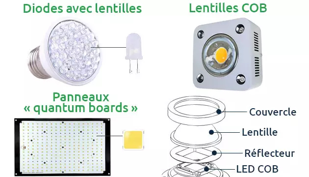 Les nombreux types de LED