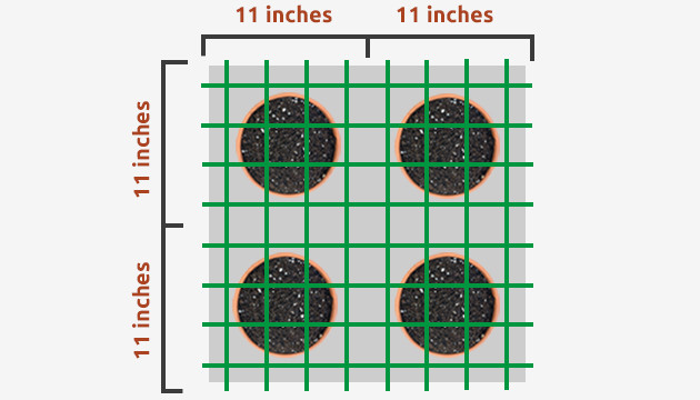 scrog grow