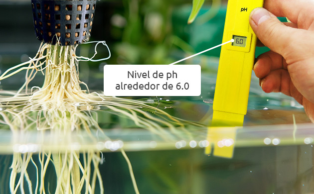 Utilizacion de Cal-Mag en sistemas hidroponicos