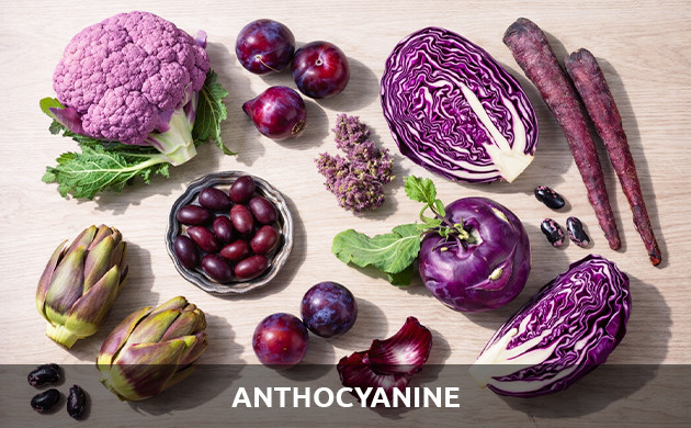 anthocyanine
